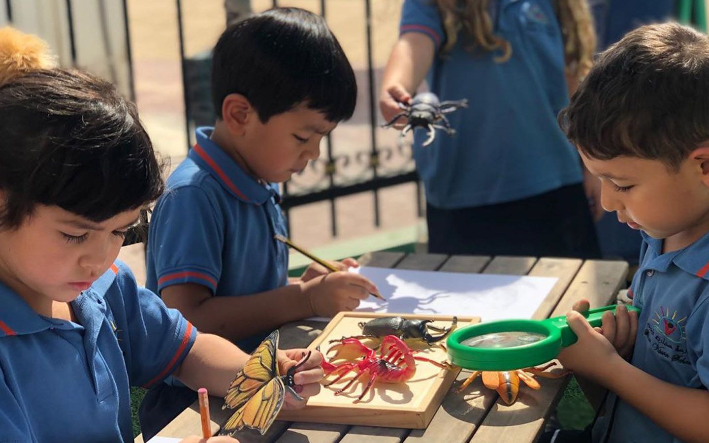 Smart Vision School