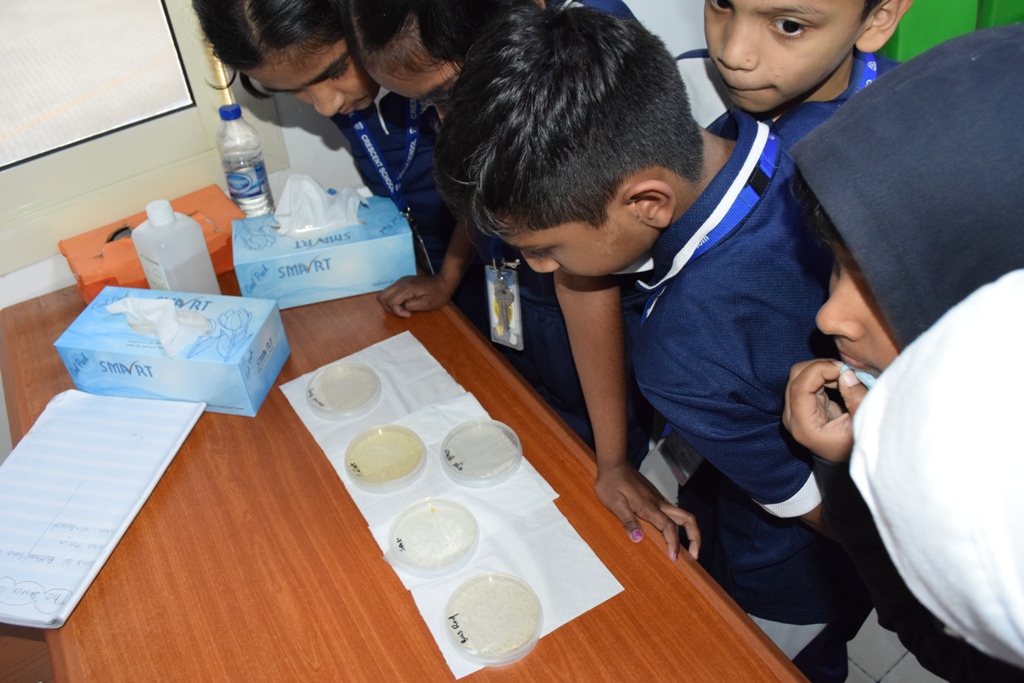 Crescent English High School Dubai