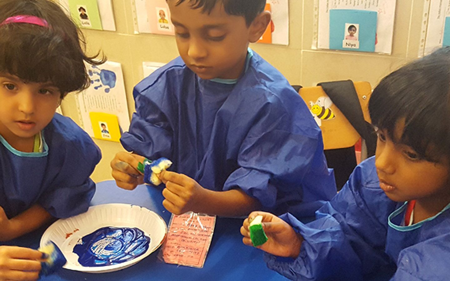 The Indian International School (DSO)