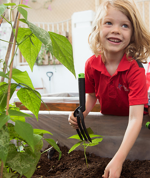 Dubai British Foundation School