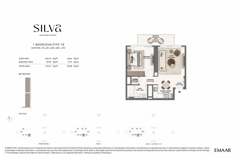 Silva - Image 7