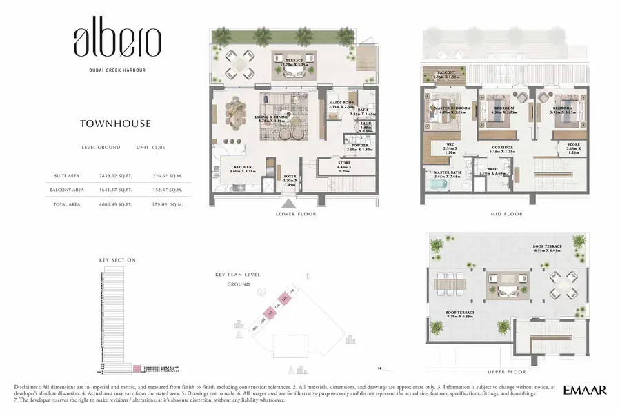 Albero - Image 16