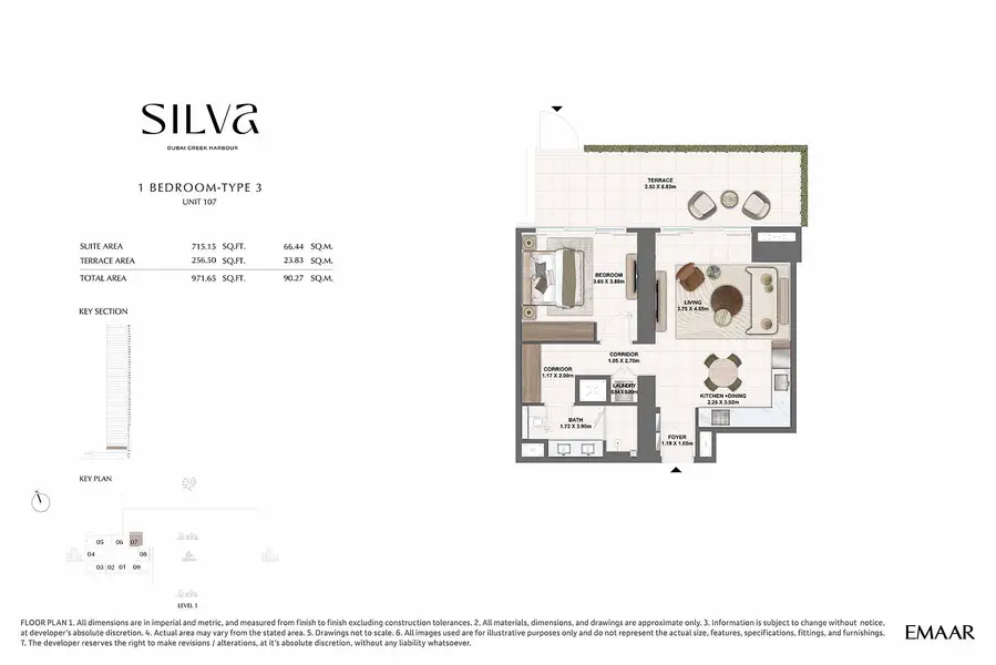 Silva - Image 11