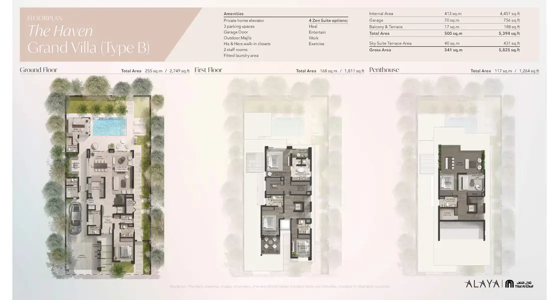 Alaya - Image 3