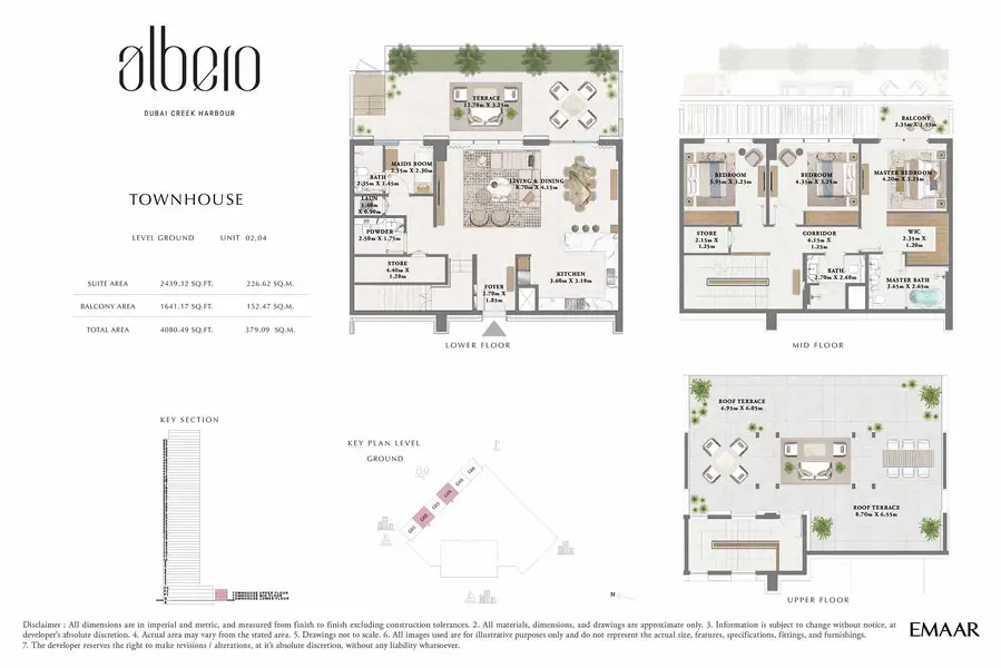 Albero - Image 15