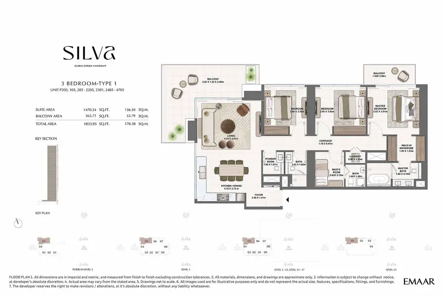 Silva - Image 18