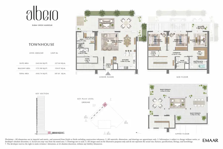 Albero - Image 17