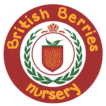 British Berries Nursery Dubai