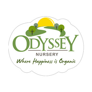 Odyssey Nursery, Dubai