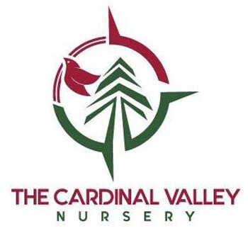 The Cardinal Valley Nursery