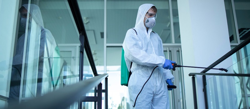 Top Pest Control Companies in Dubai
