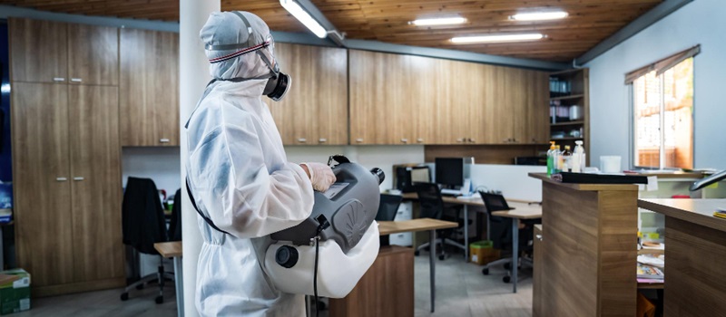Top Pest Control Companies in Dubai