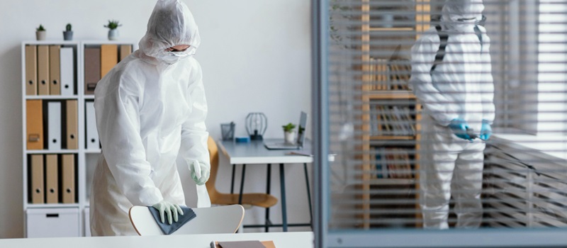 Top Pest Control Companies in Dubai