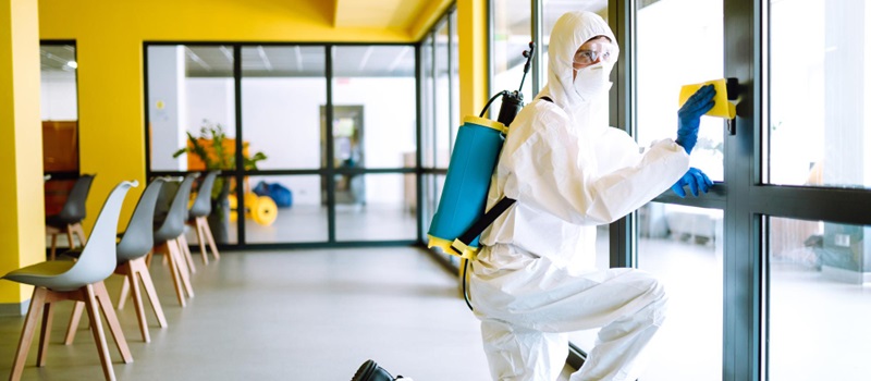 Top Pest Control Companies in Dubai