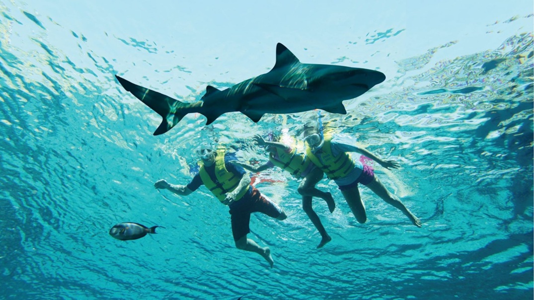 Adventure Activities in Dubai