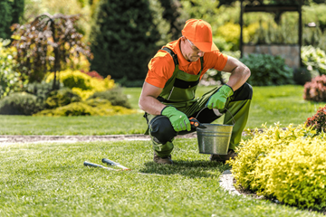 Landscaping