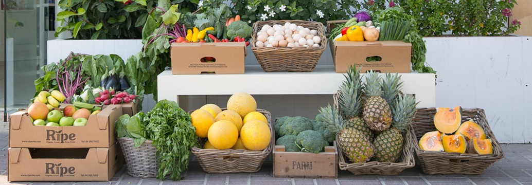 Why Organic Food Markets Are Thriving in Dubai: Trends, Growth & What’s Driving the Shift
