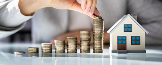 Why Smart Investors Buy in the First Launch Phase