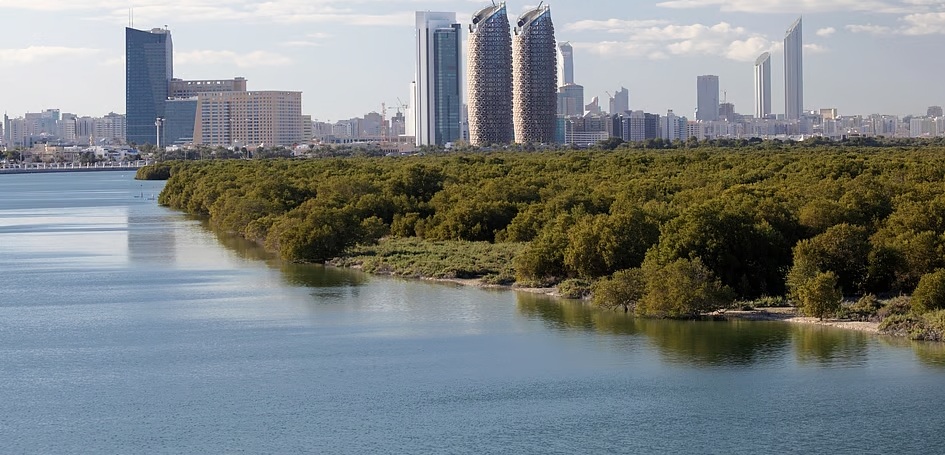 UAE Property Market Set for Continued Stability and Growth, Say Experts at IREIS Summit