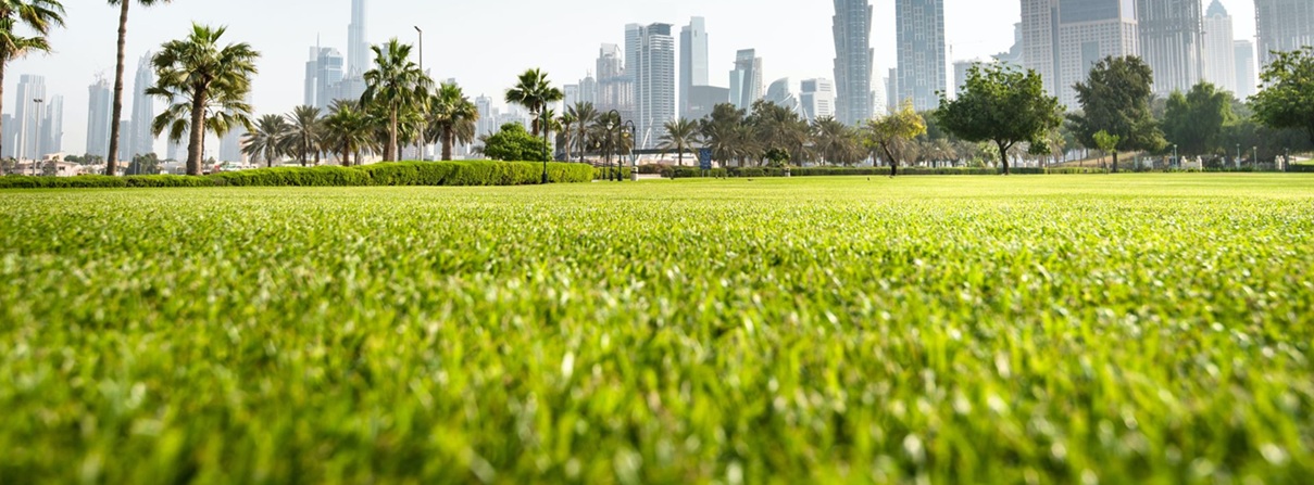 Top 3 Greenest Neighborhoods in Dubai for Healthier Living