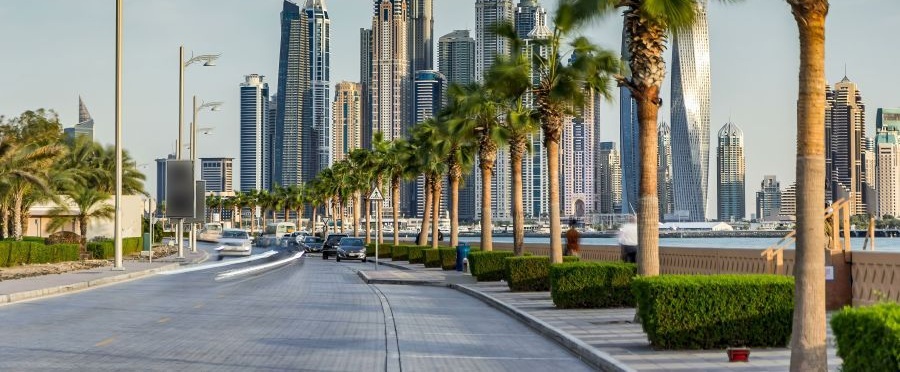 Should You Wait or Invest Now? A Data-Driven View